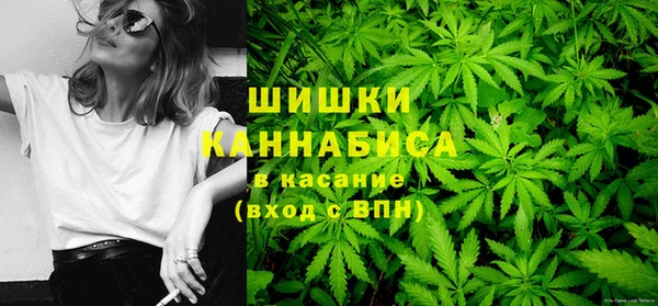 мдпв Медногорск