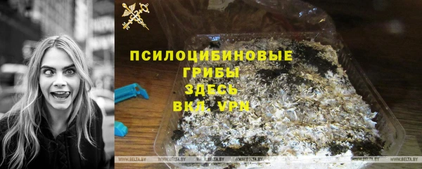 мдпв Медногорск