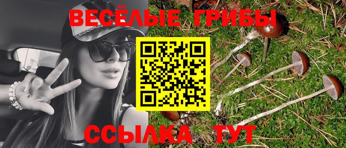 Псилоцибиновые грибы GOLDEN TEACHER  Пермь  Псилоцибиновые грибы Psilocybine cubensis 