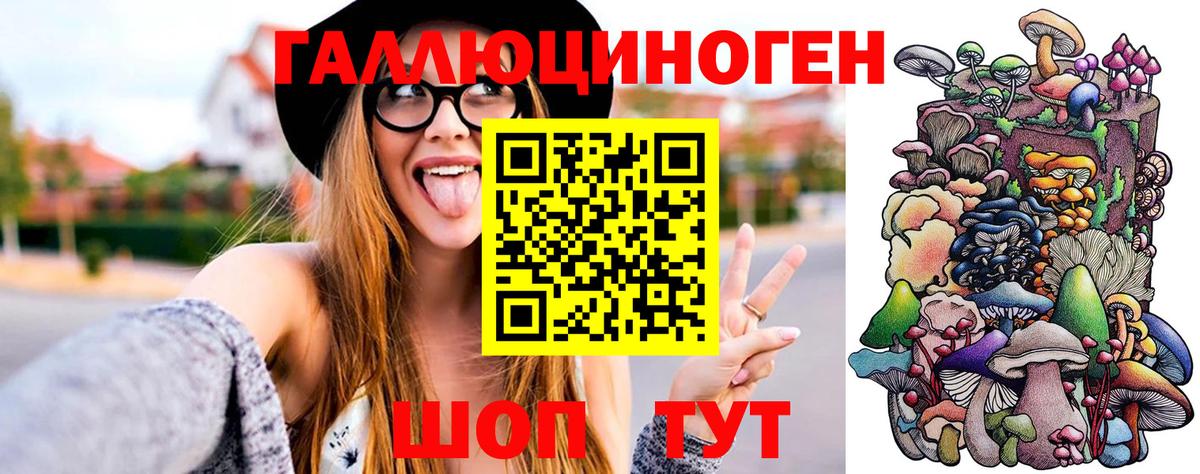 Псилоцибиновые грибы MAGIC MUSHROOMS  Вход с VPN  Пермь 